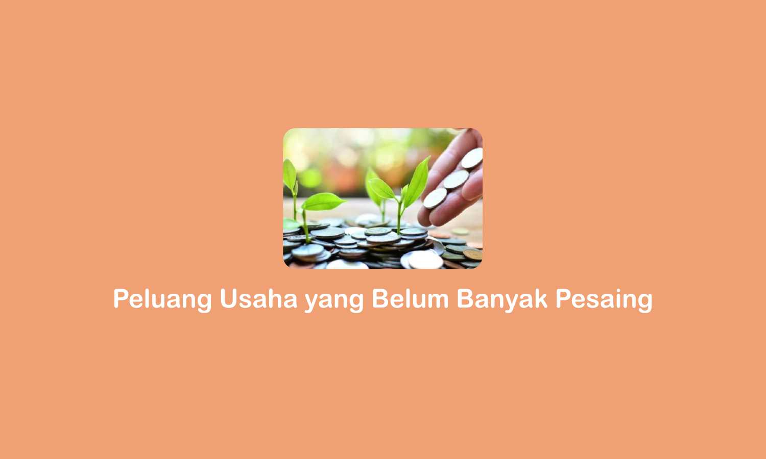 6 Peluang Usaha yang Belum Banyak Pesaing